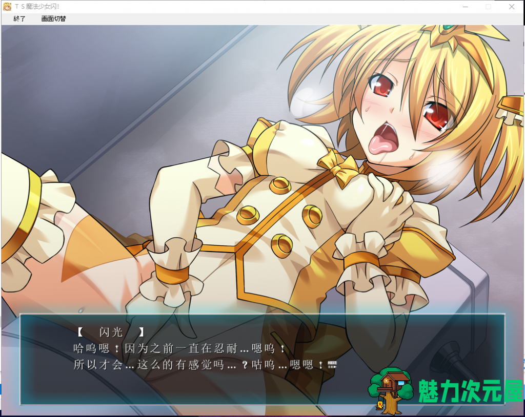 【拔作ADV/汉化/恶堕】TS魔法少女闪 调教恶堕plus！精翻汉化版【2G/新汉化/CV】