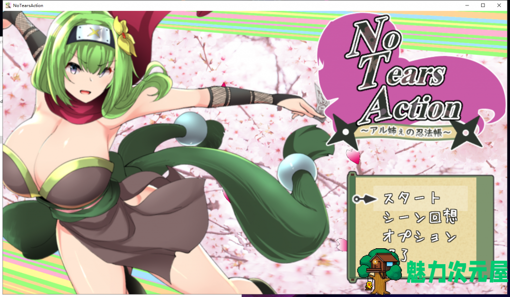 【大型ACT/全动态】大姐姐的忍法帖~NoTearsAction DL完整正式版【2.5G】【新作/全CV】-魅力次元屋