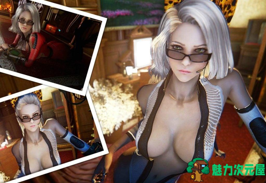 【3D大作/中文/魔改】《辐射4》废土后宫 V2.0稳定绅士整合版 [魔改/小白福音]【150G】-魅力次元屋
