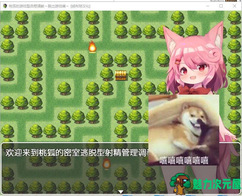 【RPG/汉化/全CV】桃狐的游戏型自薇调教～脱出游戏編 ver1.1精翻汉化版 【炼铜/300M】-魅力次元屋