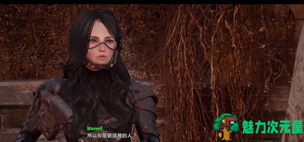 【3D大作/中文/魔改】《辐射4》废土后宫 V2.0稳定绅士整合版 [魔改/小白福音]【150G】