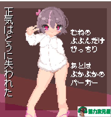 【HAG/全动态/神级像素】超绝！！丝滑！涩涩的同人增加了！ 付全动画【5G】【新作】-魅力次元屋