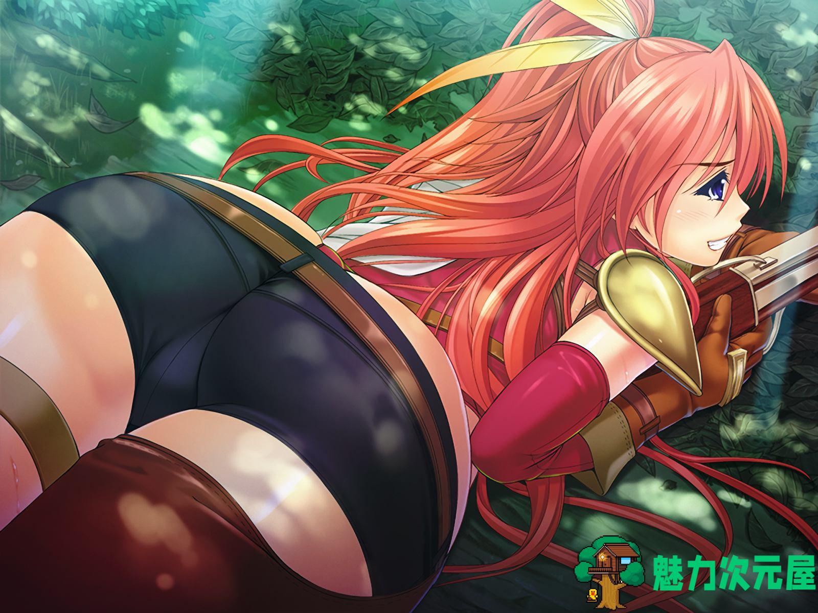 【拔作ADV/汉化】向骑士圣女魔王播种！梦幻般的冒险生涯！ 精翻汉化+CG【新作/900M】
