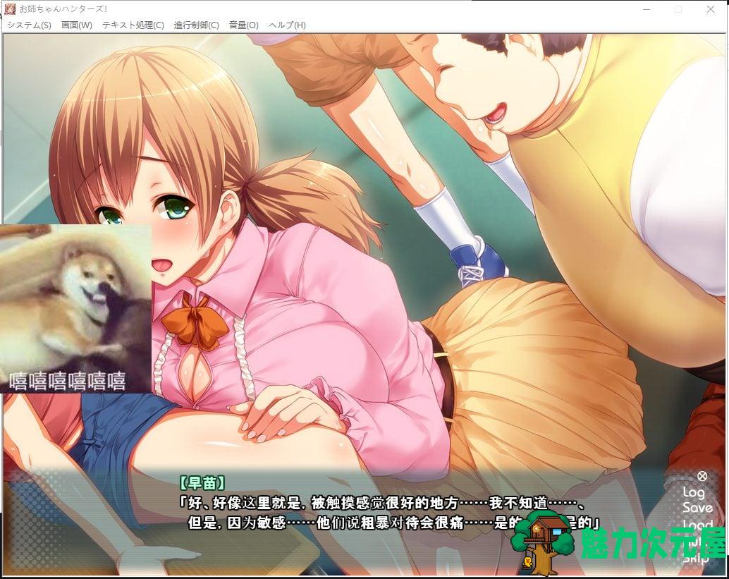 【拔作ADV/汉化】姐姐狩猎！让我们兴奋不已的大姐姐们接招吧！安卓+PC 汉化版+CG动画【2.3G】