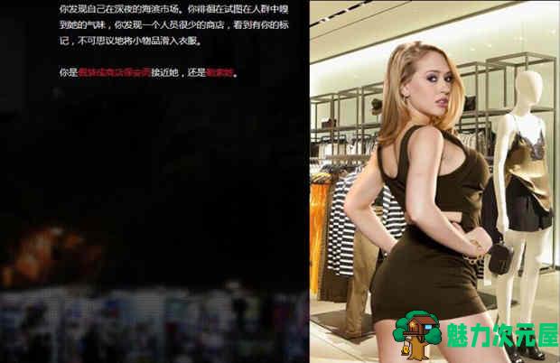 【PC/HTML/1.1G】梦魇之城(Incubus City) Ver1.99 欧美HTML中翻 附作弊码&补更+1.1G-魅力次元屋