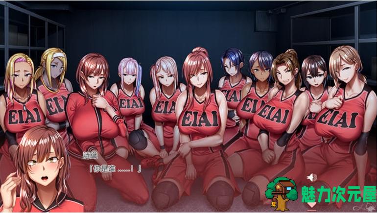 【PC/中文版/ADV/CG/4.60G】尖叫声 Ver1.0 DL官方中文版+ADV游戏+存档+4.60G