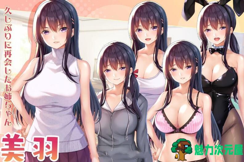 【安卓/PC/汉化版/CG/3.0G】请停手吧姐姐大人！要断了！完整汉化版 PC+安卓+全CG+补+3.0G-魅力次元屋