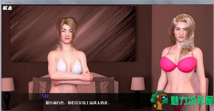 【安卓/PC/SLG/汉化版/2.1G】文化冲击(困惑) ver0.30 汉化版 PC+安卓 动态SLG游戏 2.1G