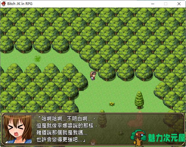 【汉化版/CG/RPG】碧池女子RPG世界冒险记 汉化版 RPG游戏+全CG+CV 700M