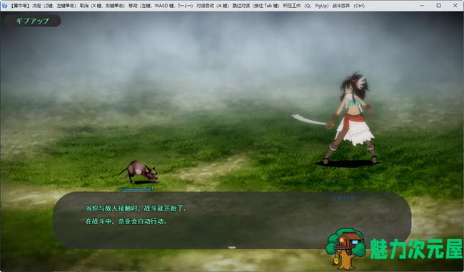 【汉化版/1.3G/RPG】迷雾之塔 ver1.0 云翻汉化版 回合制RPG游戏 1.3G