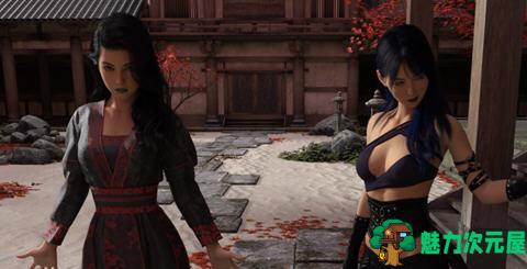 【安卓/PC/SLG/3.6G】禁忌道场(Forbidden Dojo) ver1.0 汉化完结版 PC+安卓 SLG游戏 3.6G-魅力次元屋