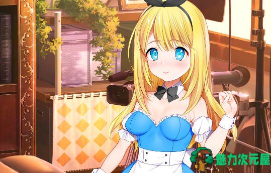 【中文/1.8G/CG】摄影之国的爱丽丝 官方中文作弊版 养成互动类游戏+CG 1.8G