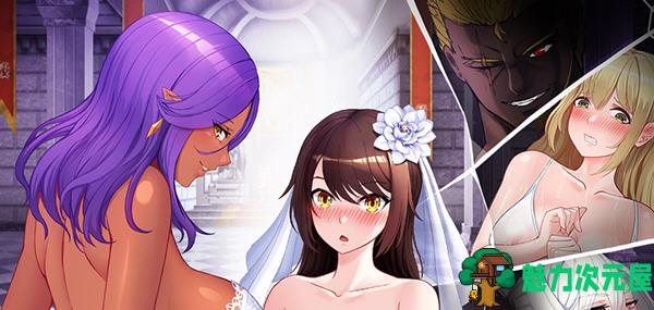 【中文/CG/RPG】勇者罗伊的婚礼(HeroRoy’s Wedding) 官方中文版 RPG游戏+CG包 1.6G-魅力次元屋