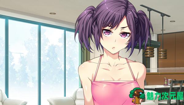 【汉化版/1.3G/ADV】和枪间一家的奇妙暑假 汉化版 ADV游戏+漫画&ORCSOFT 1.3G-魅力次元屋