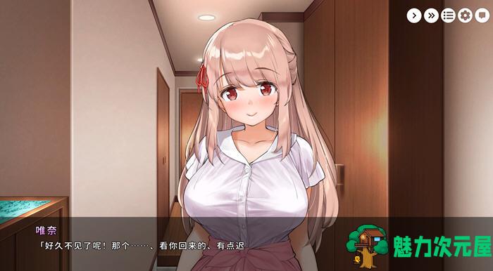 【中文/CG】和姐姐一起:唯奈的甜蜜全肯定 官方中文版 攻略+全CG存档 养成类游戏