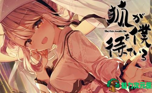 【安卓/精品/27G】安卓宅男向游戏三十部合集 三十款大作（27GB） 每款都是精品&推荐-魅力次元屋