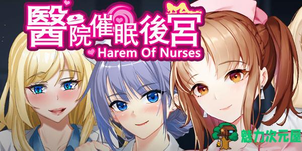 【中文/ADV】医院萃眠后宫 官方中文版整合全回想 ADV游戏 300M-魅力次元屋