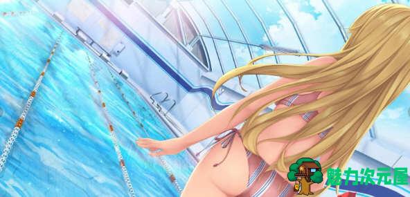 【安卓/PC/ADV】浪漫女孩 Ver1.15 汉化完结版 PC+安卓 日式ADV游戏