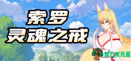 【中文/1.2G/RPG】索罗灵魂之戒 官方中文版+18DLC 回合制RPG游戏 1.2G-魅力次元屋