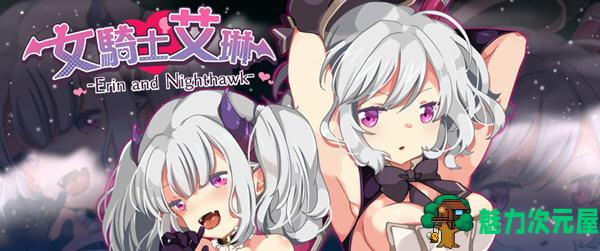 【汉化版/RPG】女骑士艾琳(Erin and Nighthawk) Ver1.06 精翻汉化版 RPG游戏 500M-魅力次元屋
