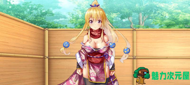 【安卓/PC/汉化版/1.7G】妖怪遁传:忍者玉慧 V1.02 精翻汉化版 PC+安卓+全CV 1.7G-魅力次元屋