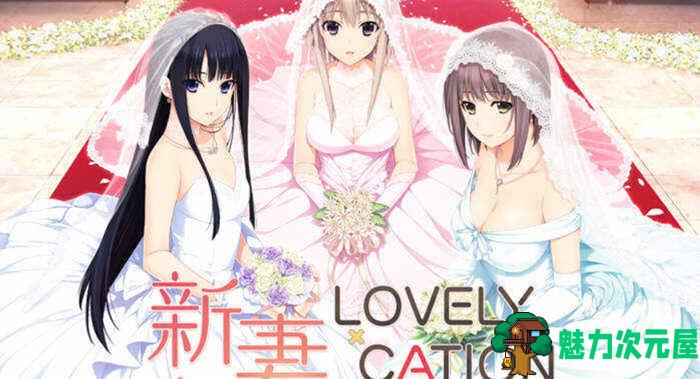 【汉化版/ADV/CG】新妻LOVELY×CATION 精翻汉化版+全CG存档 大型ADV游戏-魅力次元屋