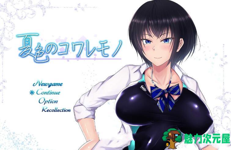 【CG】夏天和青梅竹马的NTR故事！V1.04 汉化作弊版+存档+CG-魅力次元屋