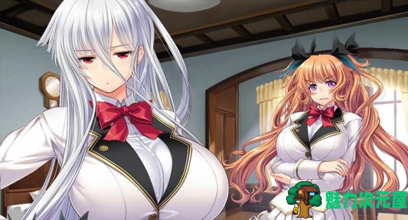 【汉化版/3G】圣布伦希尔特学园少女骑士团 精翻汉化版+动画 3G-魅力次元屋