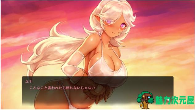 【PC/日文/原版/特典/动作/ACT游戏/2.41G】苍誓的伊莉丝:地底冥途之行 Ver1.21 日文原版+特典+动作ACT游戏+2.41G