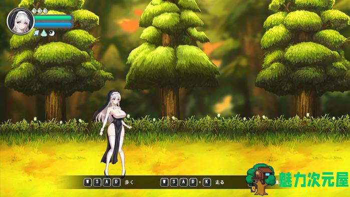 【PC/正式版/动作/ACT游戏/全CG/720M】月神誓约:苍白的代行者 Ver1.0 正式版+动作ACT游戏+全CG回想+720M